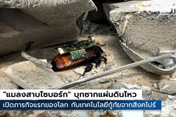แมลงสาบไซบอร์ก