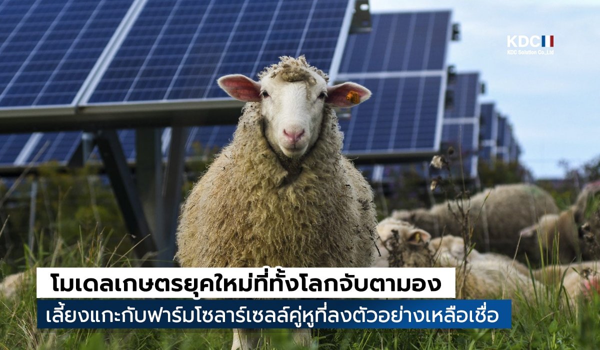 Agrivoltaics