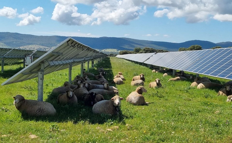 Agrivoltaics
