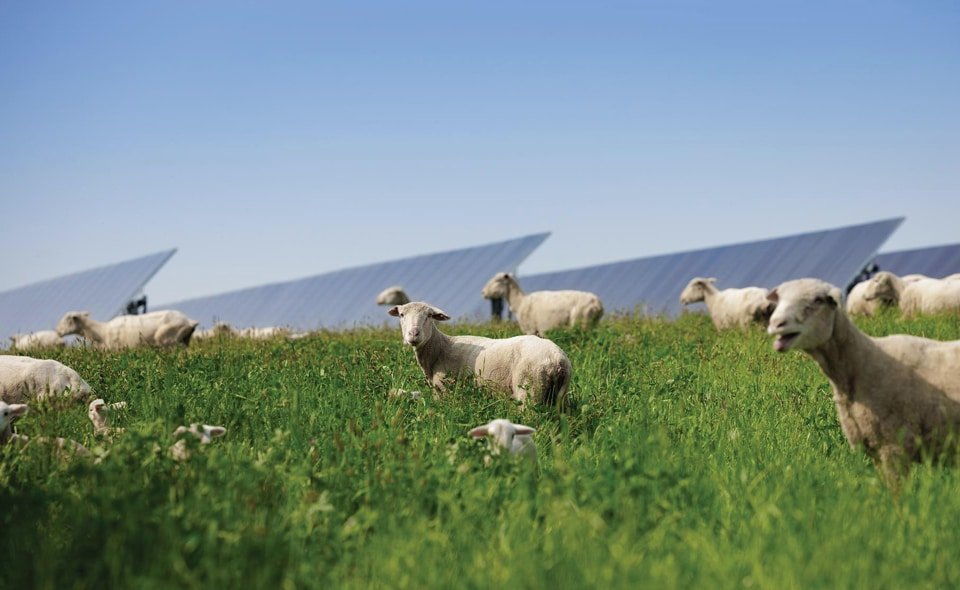Agrivoltaics232