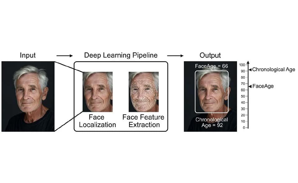 FaceAge AI2