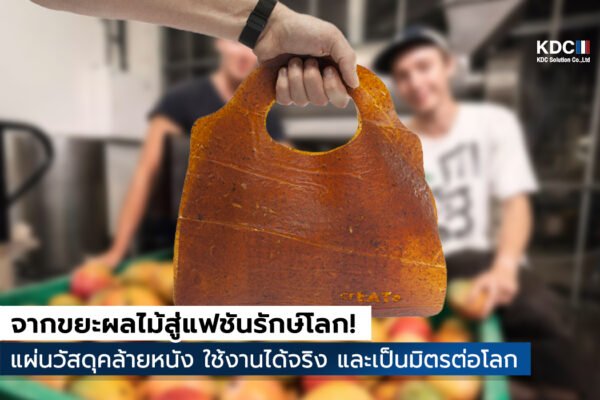 Fruitleather