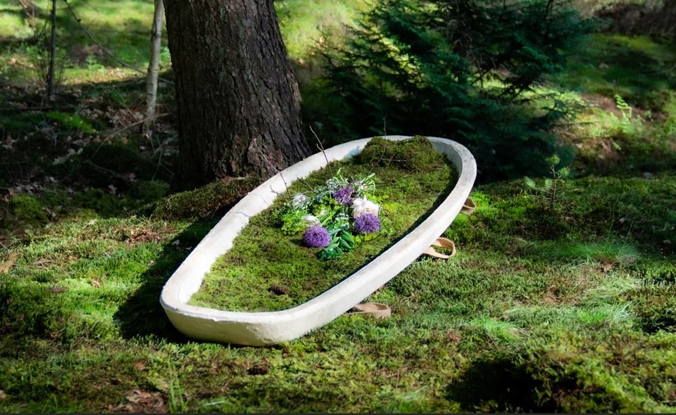 Mycelium Coffin