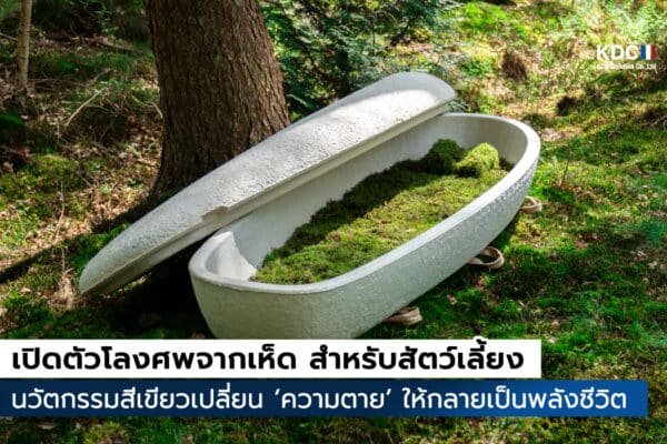 Mycelium Coffin