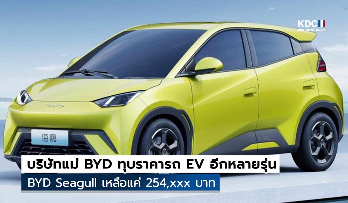 BYD Seagull
