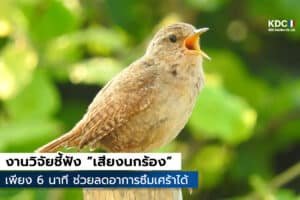 Birds Singing