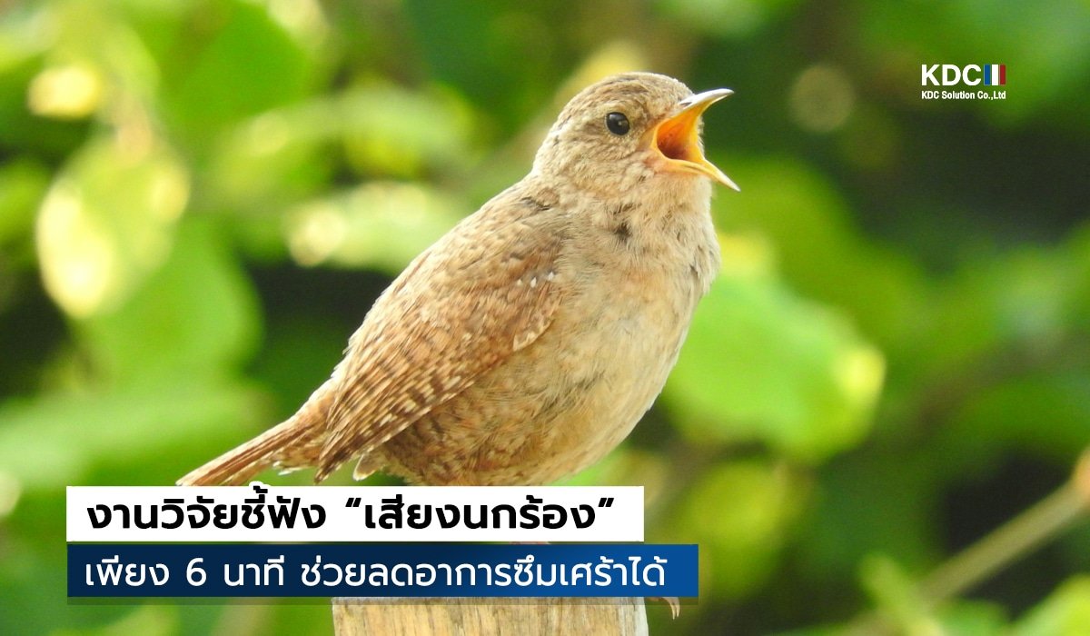 Birds Singing