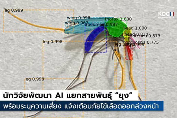 AI