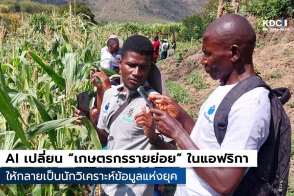 Farmer.chat