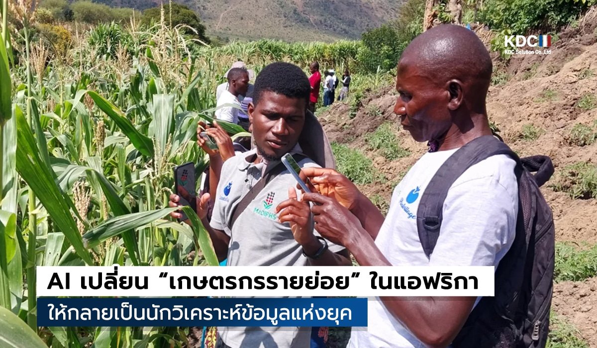 Farmer.chat