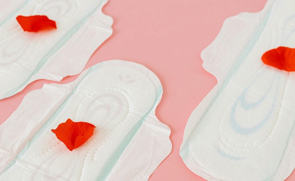 MenstruAI1
