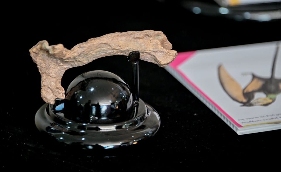 Pterosaur1