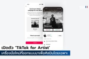 TikTok for Artist