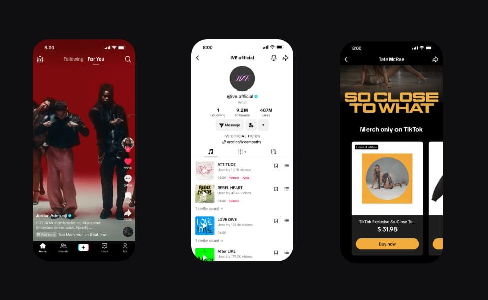 TikTok for Artist