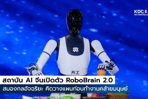 RoboBrain 2.0