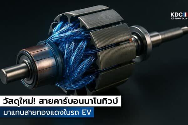 Nanotube