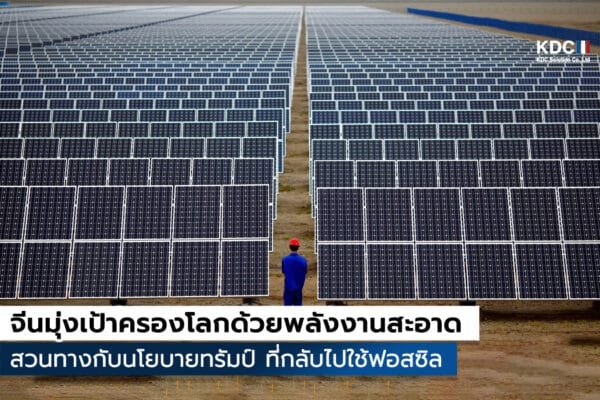 Net Zero
