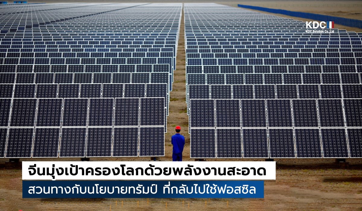Net Zero