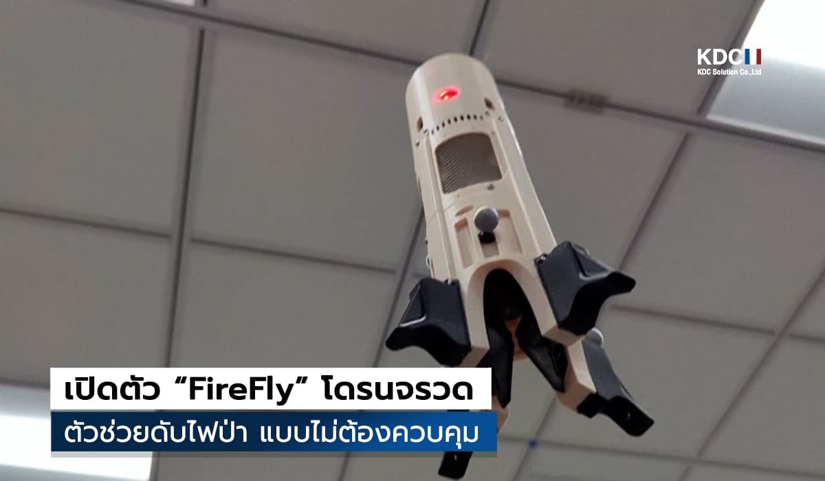 FireFly