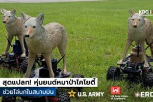 Coyote Rovers