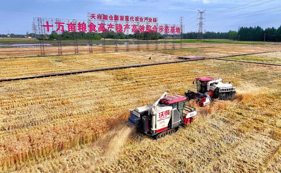 farmer 1