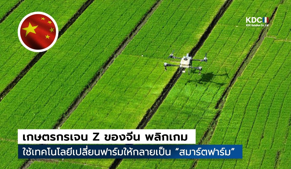 farmer