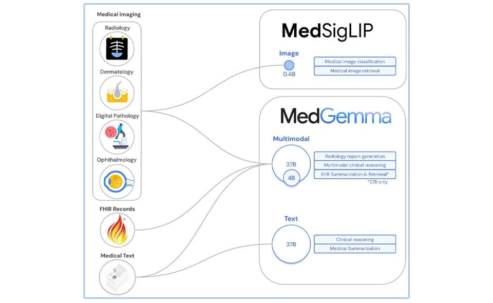 MedGemma