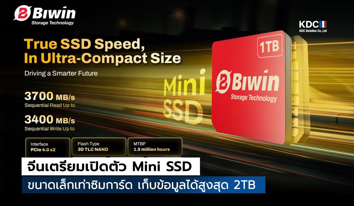 Mini SSD