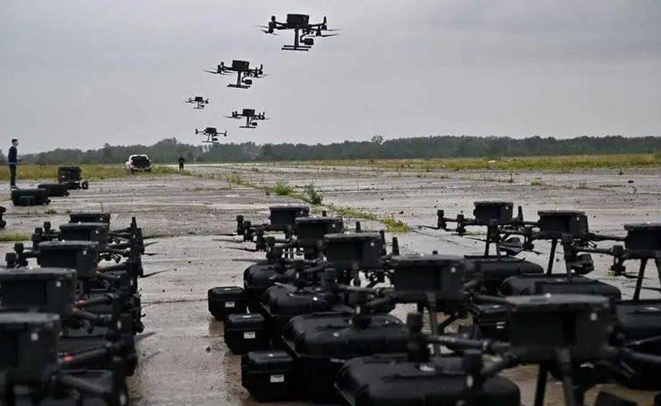 PLA1
