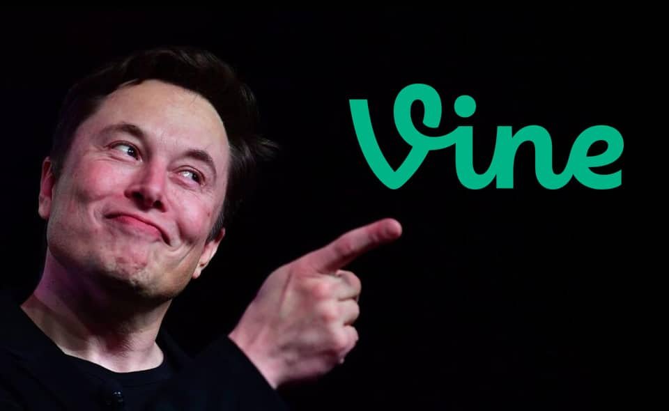 Vine2