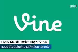 Vine