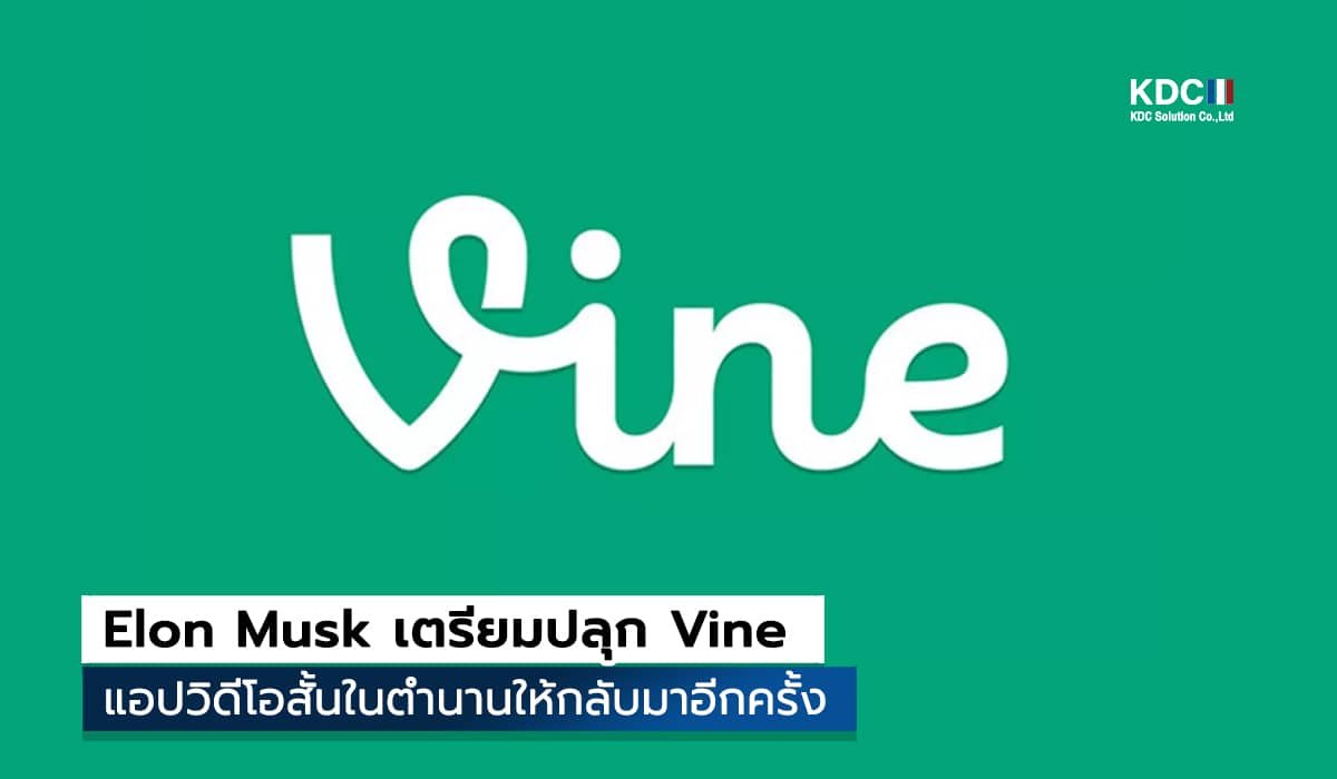 Vine