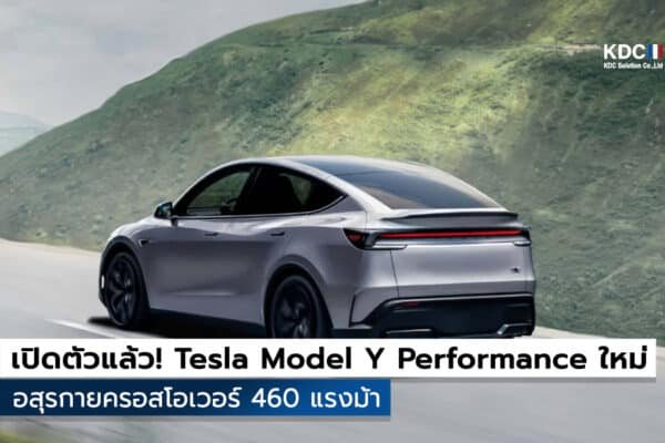 Tesla Model Y Performance