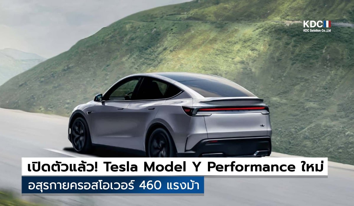 Tesla Model Y Performance