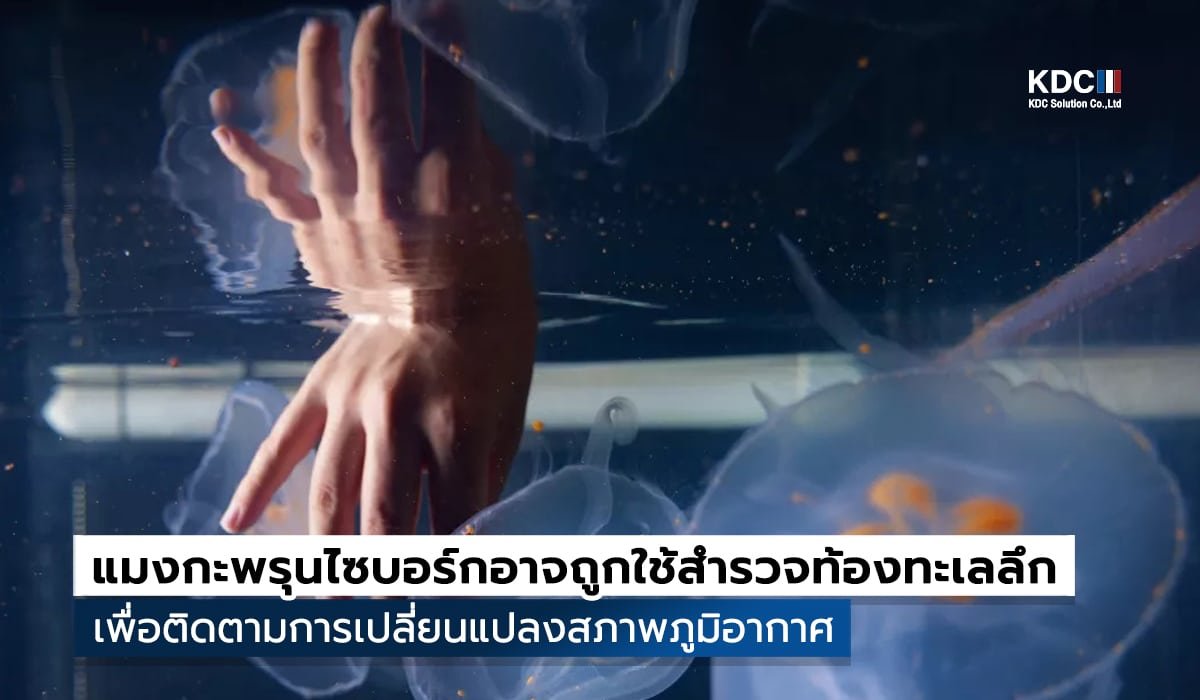 Cyborg jellyfish