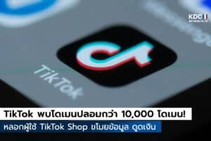 TikTok พบโดเมนปลอมกว่า 10,000 โดเมน