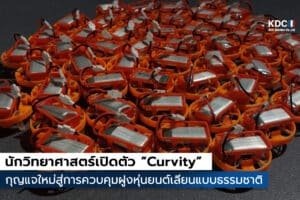Curvity