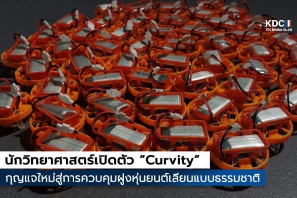 Curvity