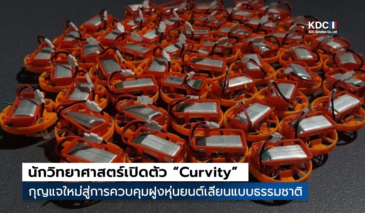 Curvity