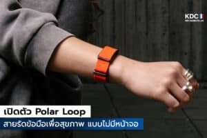 Polar Loop