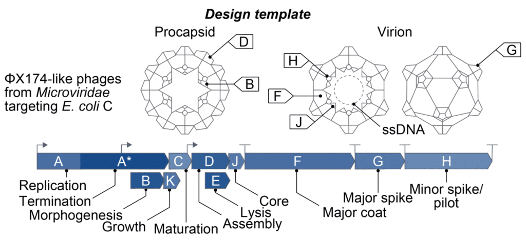 fig2