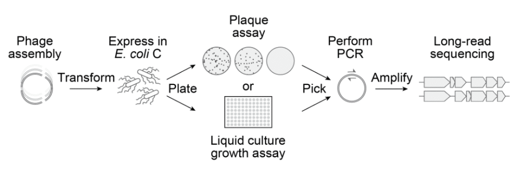 fig3