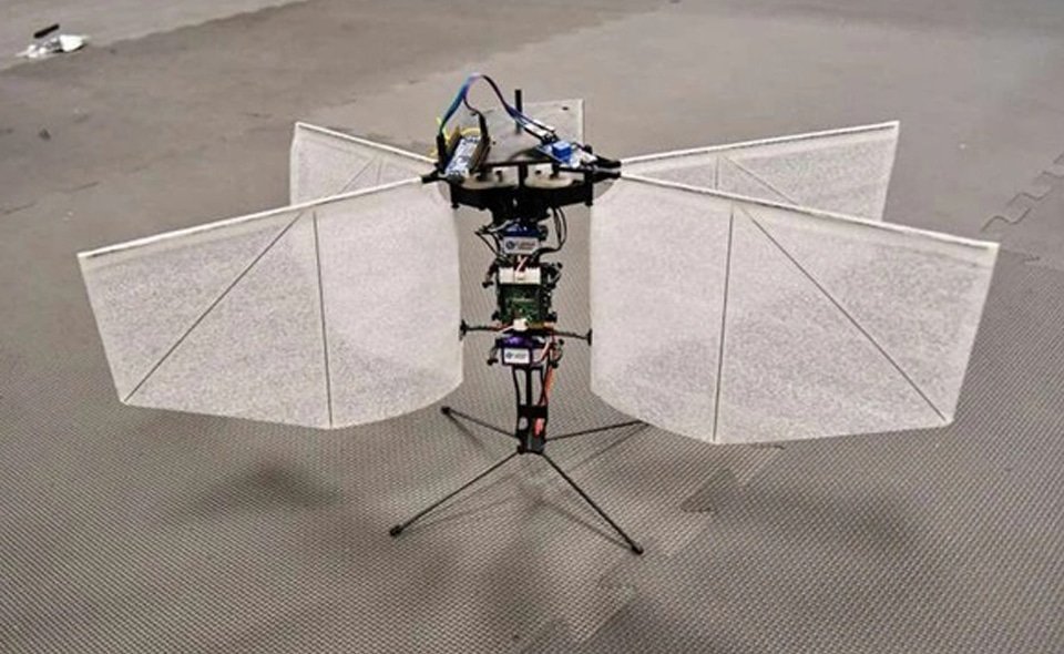 ขนาดรูปเรื่อง web 27.1