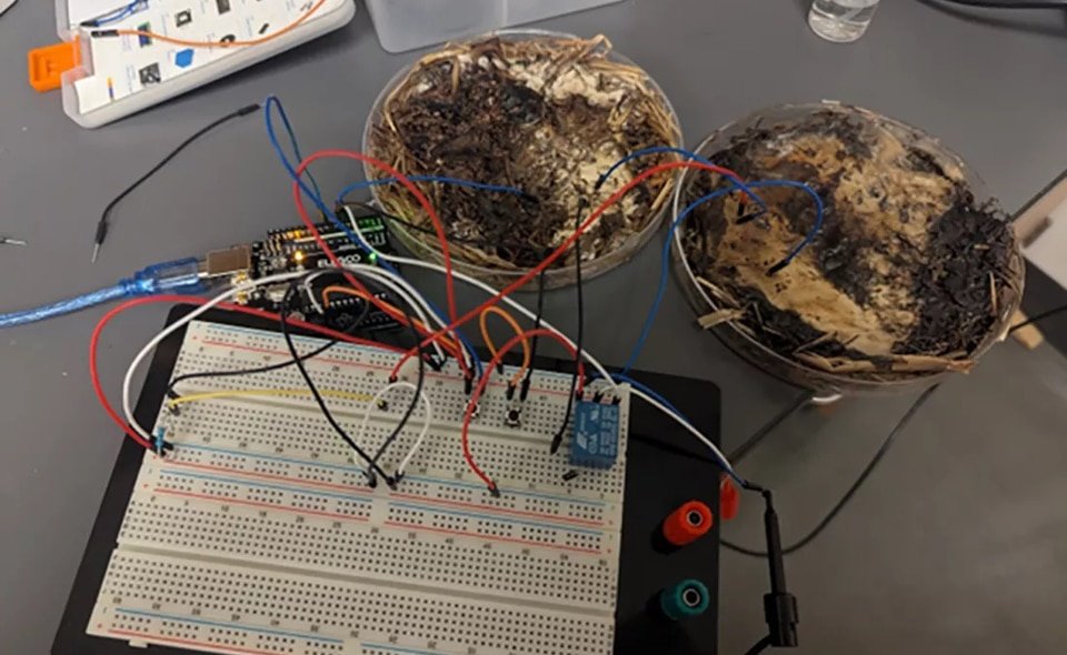 ขนาดรูปเรื่อง web 31.1