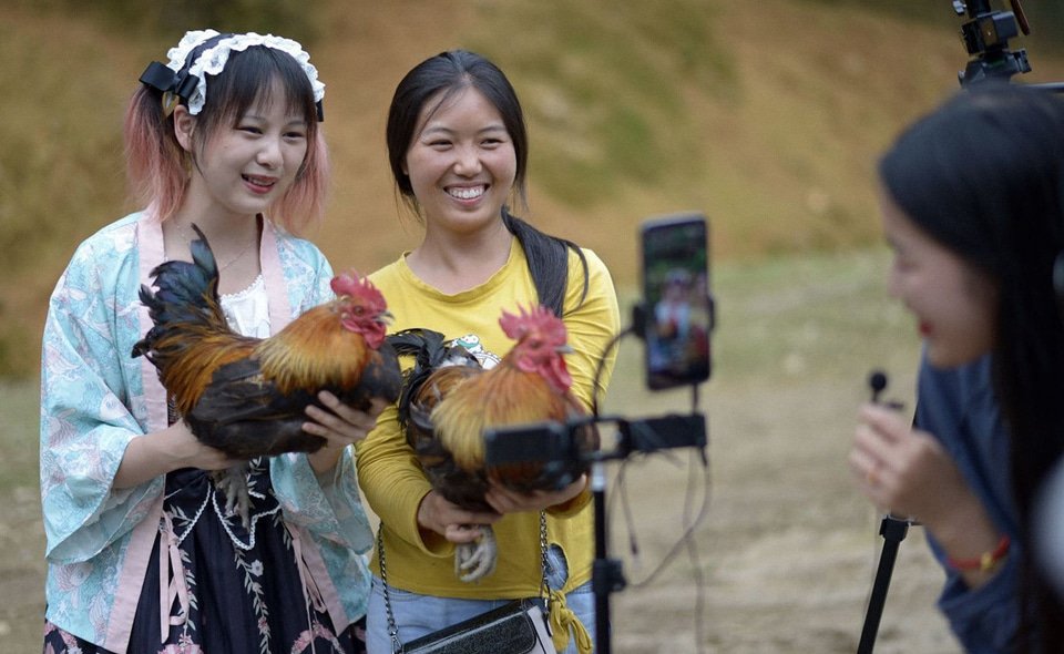 อินฟลูต้องมี วุฒิการศึกษา