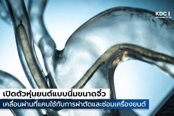 เปิดตัวหุ่นยนต์จิ๋ว