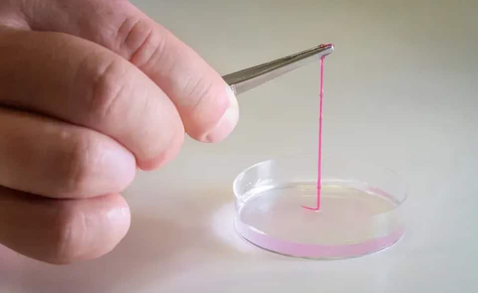 3D bioprinting1