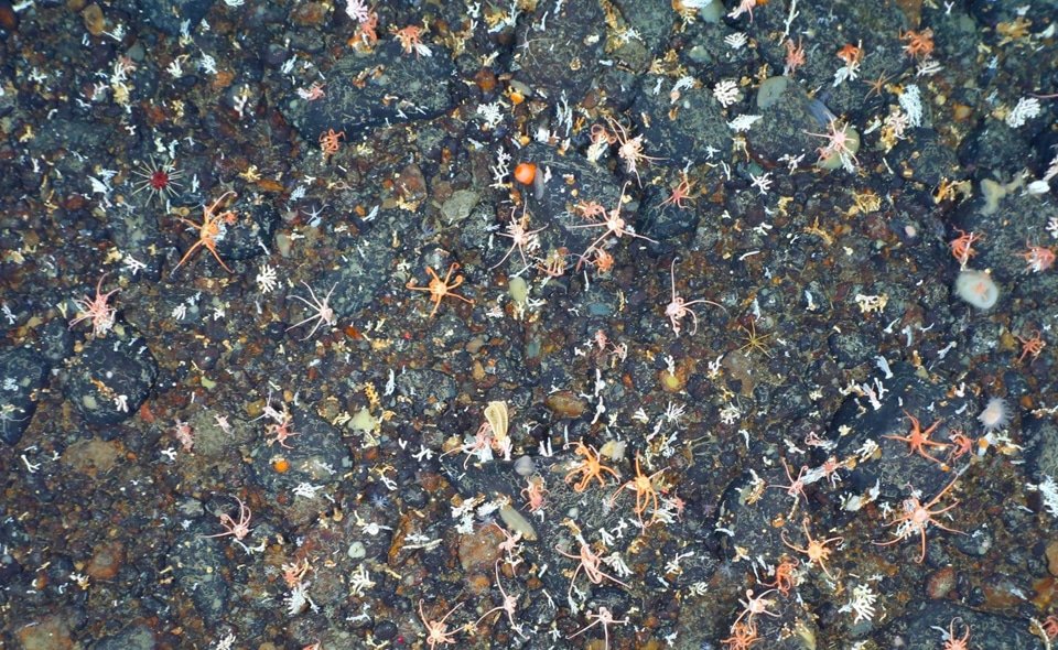 AI ช่วยไขความลับใต้แอนตาร์กติกา