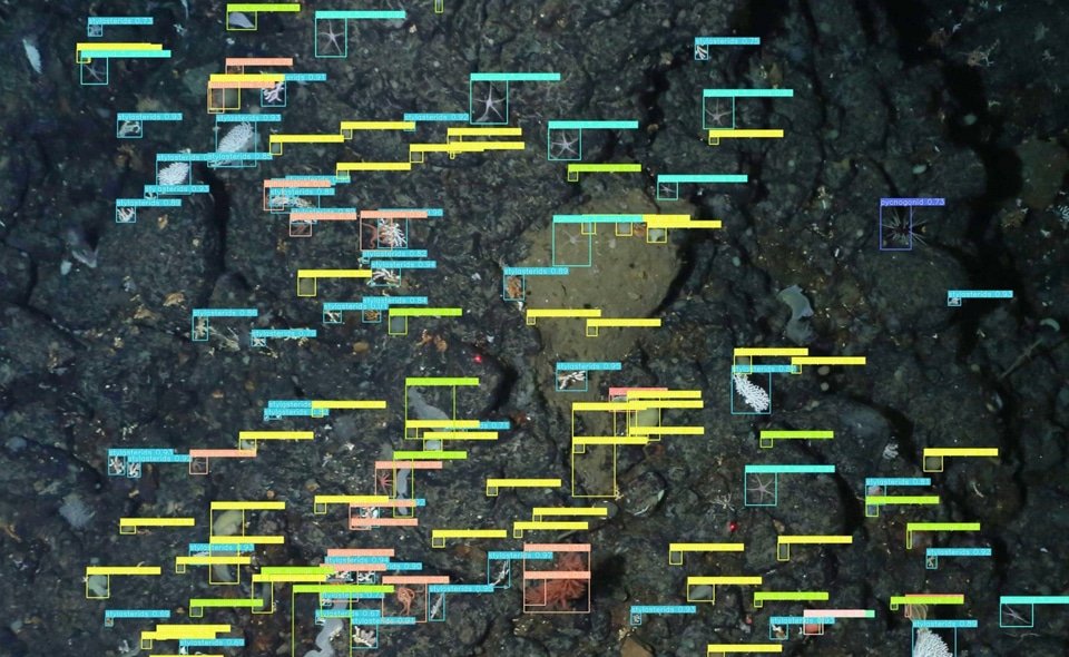 AI ช่วยไขความลับใต้แอนตาร์กติกา2