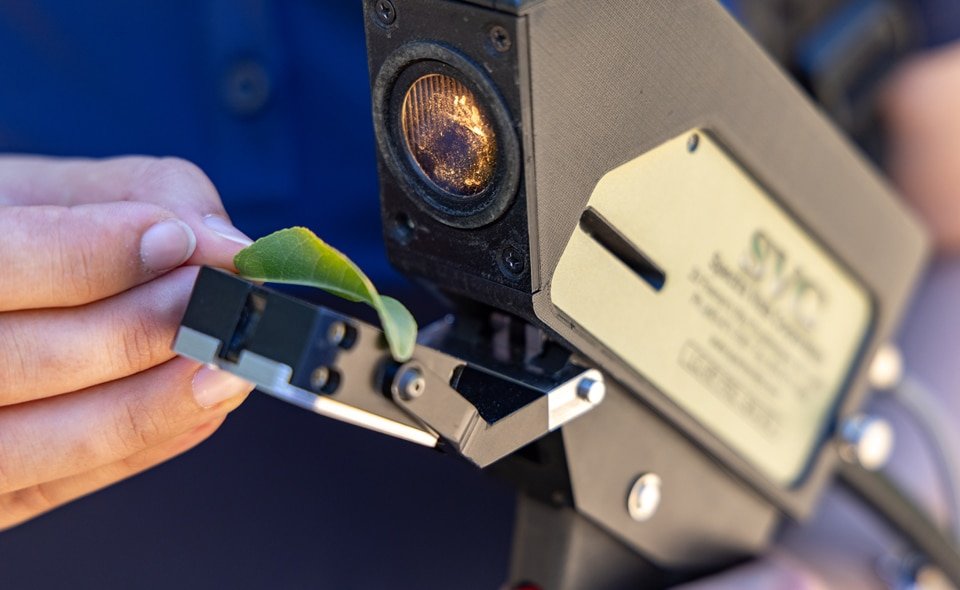 Leaf Monitor เครื่องมือ AI